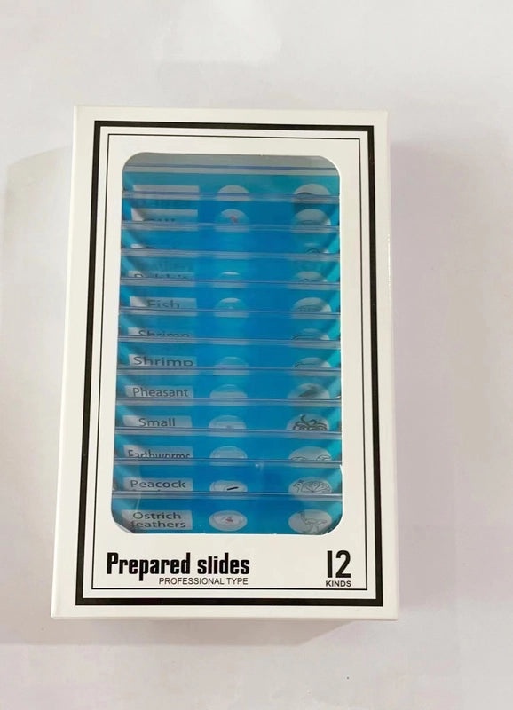 Educational Alphabet Plastic Toys for Kids|Learning & Educational Toys