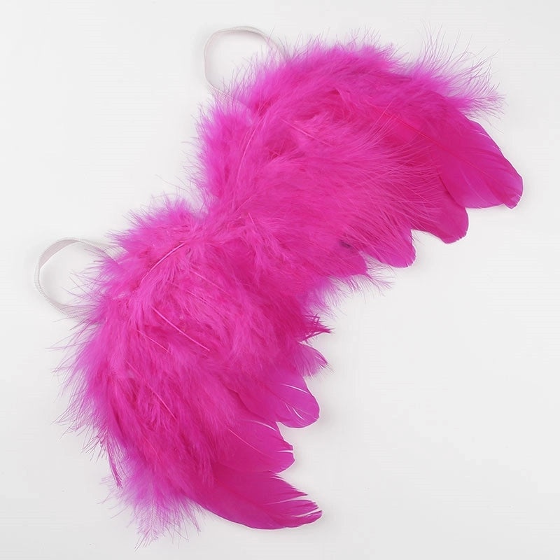 Feathered Wings Interactive Cat Toys|Pet Toys