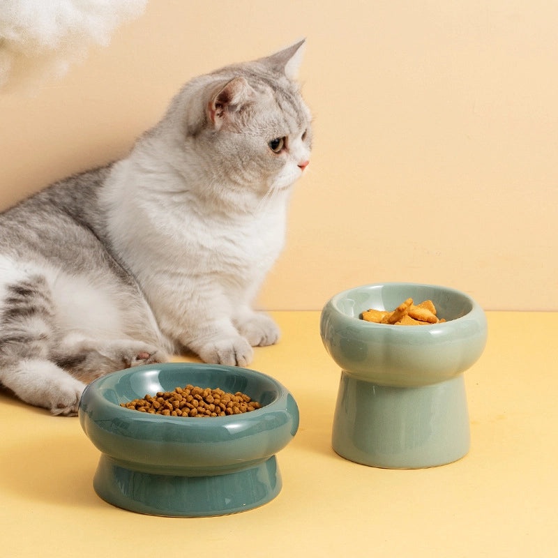 Automatic Cat Feeder for Pet Garden Supplies | Pet Feeding Equipment