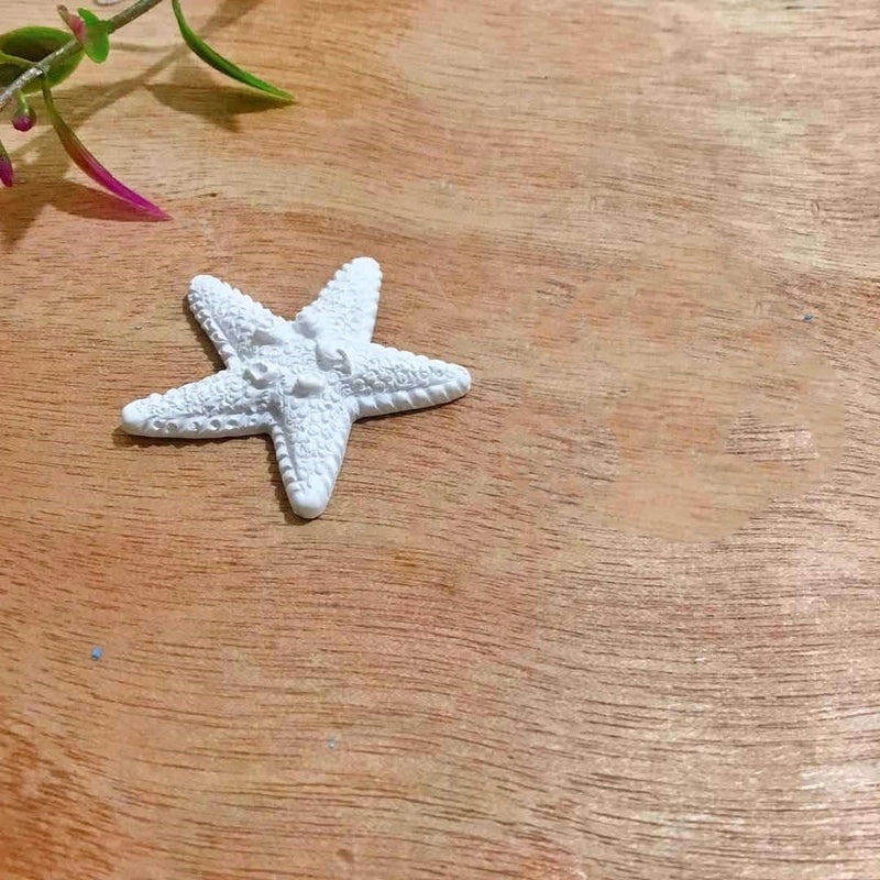 Minimalist Starfish and Seahorse Resin Ornaments for Casual Home Decor|Home Decor Ornaments