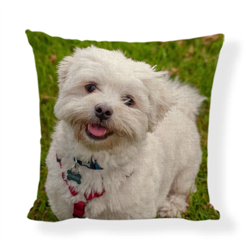 Cute Modern Animal Print Polyester Pillow Covers for Couch Sofa Decor|Home Decor & Pillows