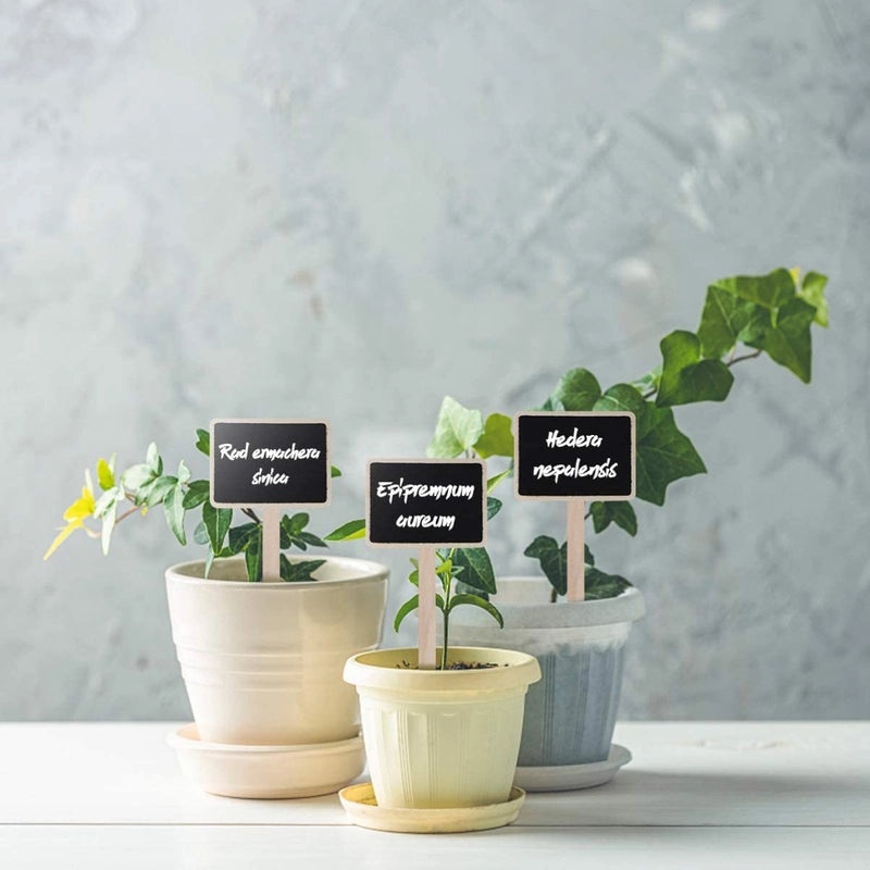 Mini Wooden Blackboard Plant Label | Home Decor & Garden Accessories