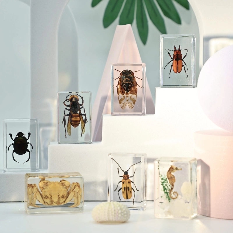 Halloween Resin Decorations with Ants, Spiders, and Butterflies|Seasonal Holiday Decor