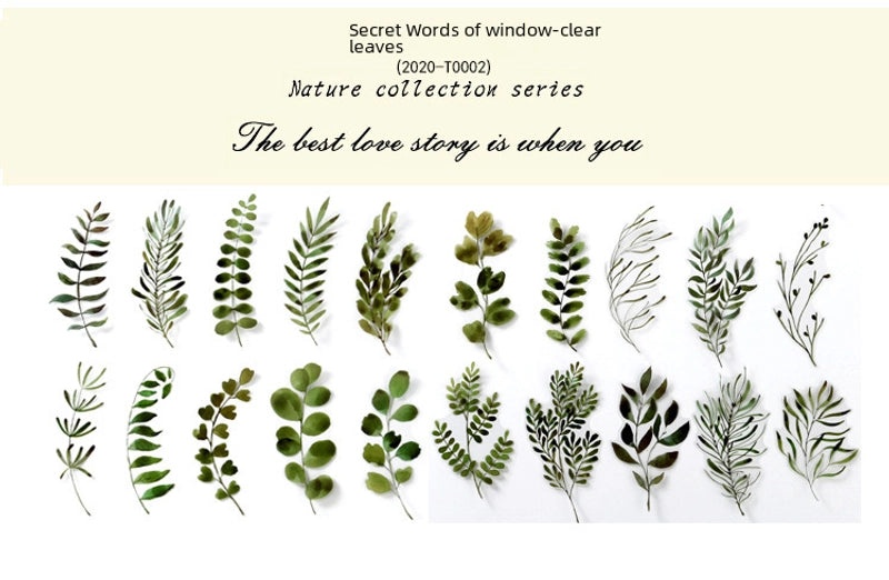 Natural Photo Collection Secret Window Pet Handbook Sticker Set 12 Styles Creative Plant DIY Decoration|Stationery & Craft Supplies