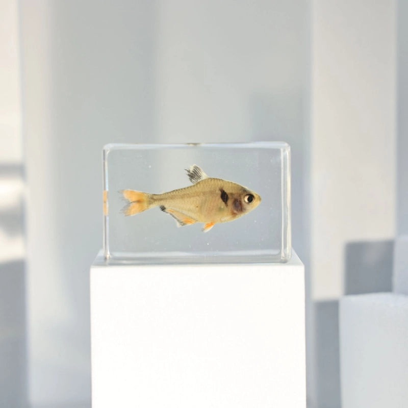 Minimalist Fish Resin Art Ornament|Home Decor