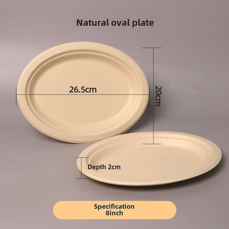 Disposable Biodegradable Sugarcane Pulp Paper Plates Thickened Dinner Plates for BBQ Cake Kindergarten DIY | Party Supplies & Disposable Tablewar