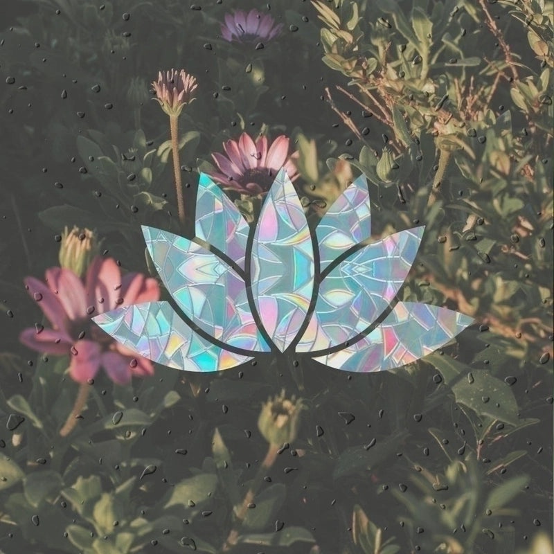 Leaf Moon Heart Shaped PVC Pet Wall Decal for Home Decor | Wall Stickers