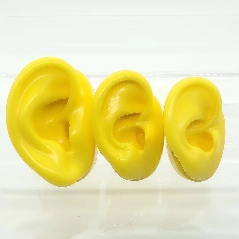 Soft Silicone Human Ear Model for Ear Cleaning Training and Medical Display|Medical Supplies