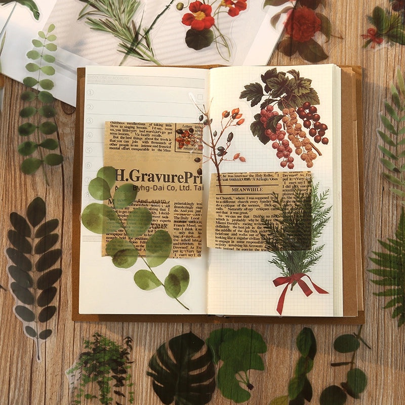 Natural Photo Collection Secret Window Pet Handbook Sticker Set 12 Styles Creative Plant DIY Decoration|Stationery & Craft Supplies