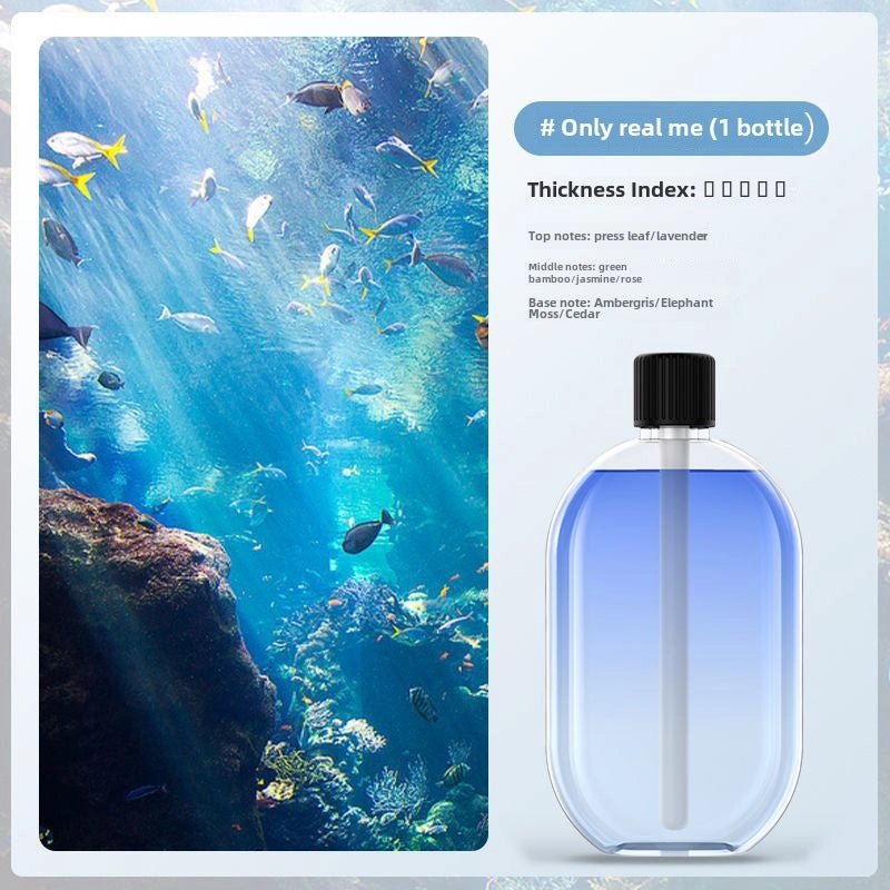 Automatic Scented Spray Dispenser for Bathroom and Hotel | Home Fragrance & Air Fresheners