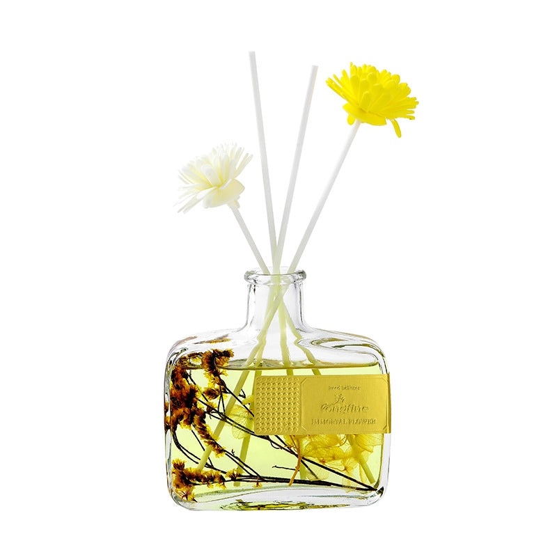 Elegant Casual Scented Liquid Home Fragrance for Women | Home Fragrance