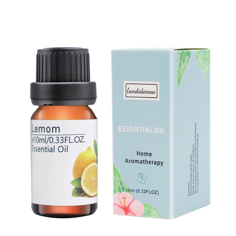 Colorful Casual Plastic Jewelry Organizer|Jewelry Storage & Display