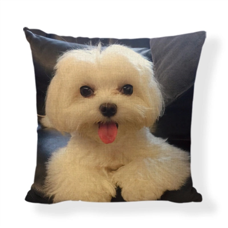 Cute Modern Animal Print Polyester Pillow Covers for Couch Sofa Decor|Home Decor & Pillows