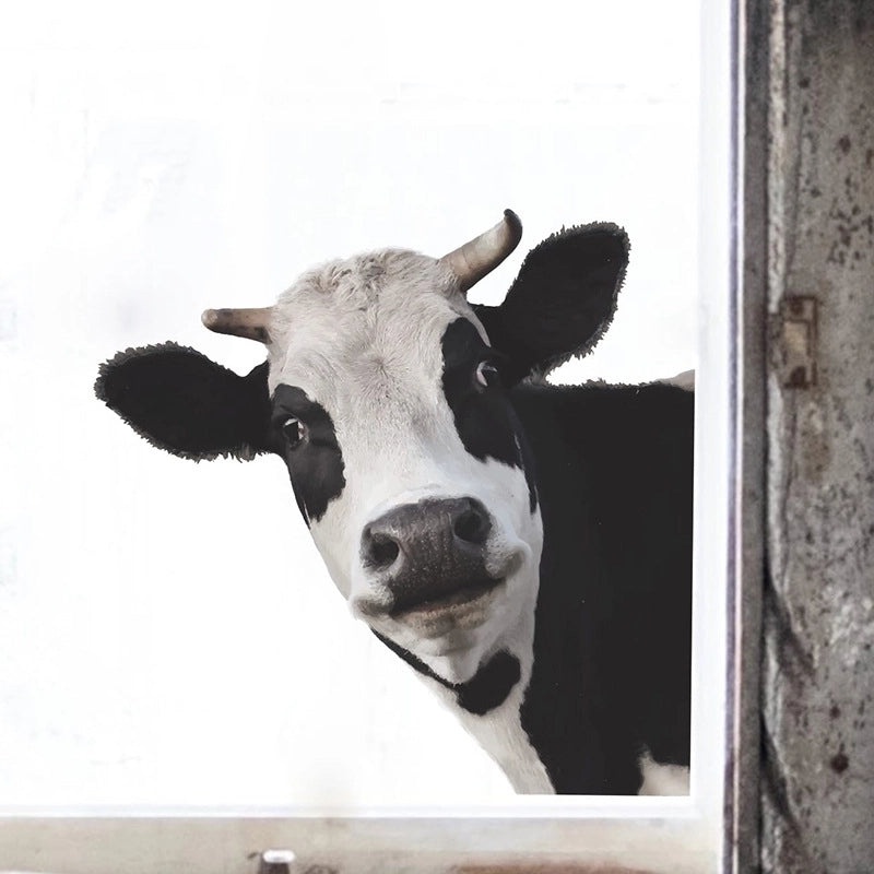 Cute Cow Pattern Plastic Wall Decal for Home Decor|Home Decor & Wall Stickers