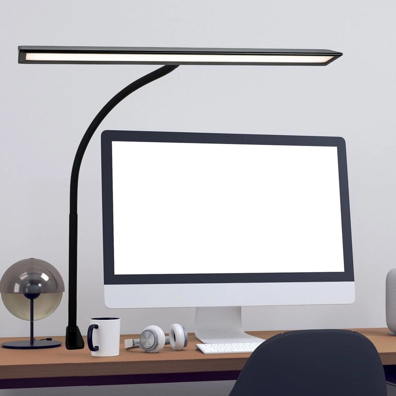 Adjustable Double-Headed LED Desk Lamp with Eye Protection Clip-On Light | Study Lamps