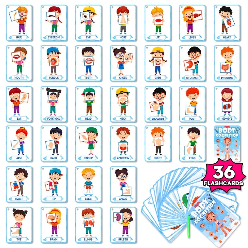 46 Engineering Vehicles Flash Cards for Kids|Early Education Educational Toys