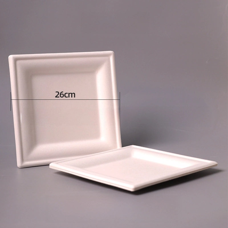 Disposable Biodegradable Sugarcane Pulp Paper Plates Thickened Dinner Plates for BBQ Cake Kindergarten DIY | Party Supplies & Disposable Tablewar