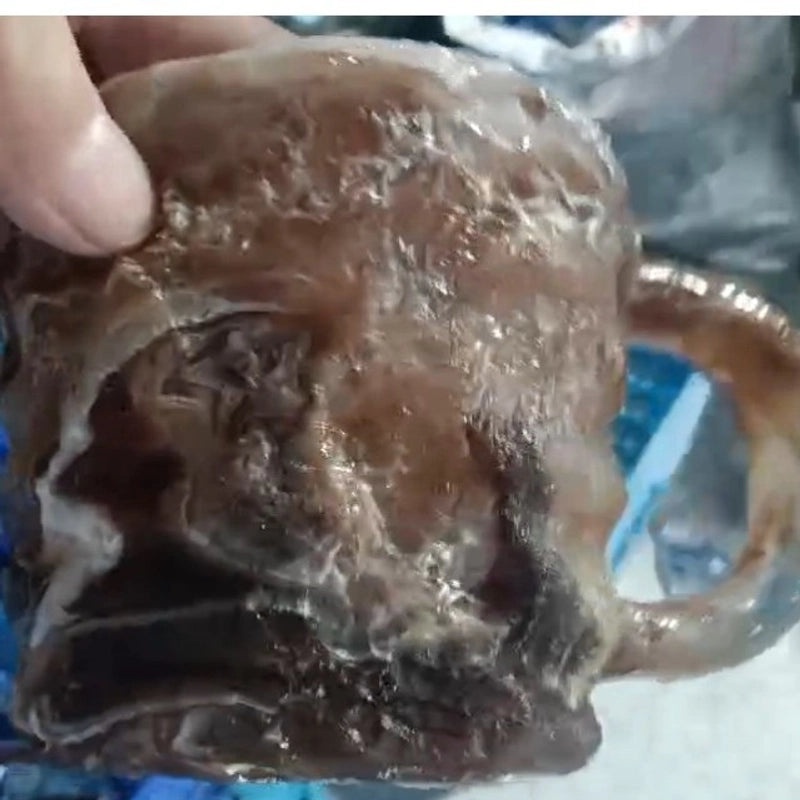 Simple Solid Color Resin Mug for Everyday Use | Drinkware & Mugs