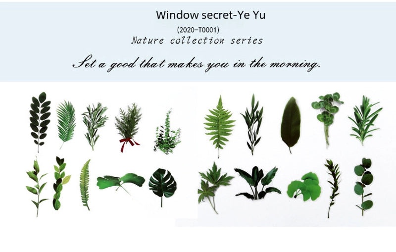 Natural Photo Collection Secret Window Pet Handbook Sticker Set 12 Styles Creative Plant DIY Decoration|Stationery & Craft Supplies