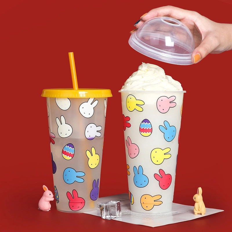 Festive Christmas Holiday Solid Color Plastic Water Bottle 1 Piece | Travel Accessories