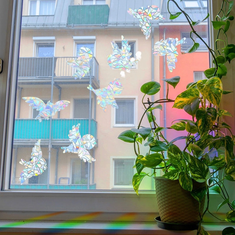 Cute Bird Decorative PVC Wall Decal for Home Decor | Wall Stickers