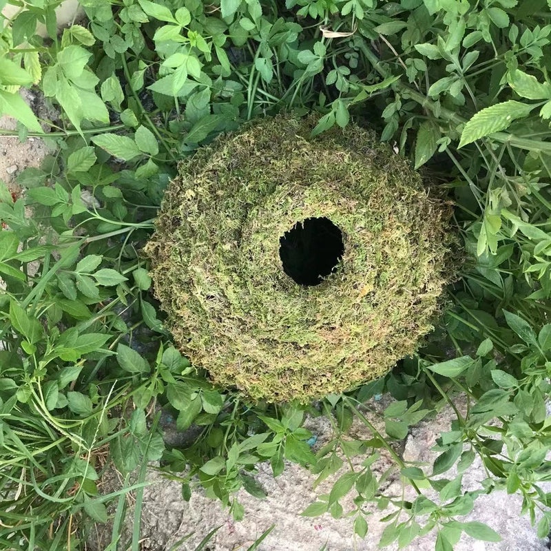 Handmade DIY Moss Wreath for Christmas Decoration | Home Decor