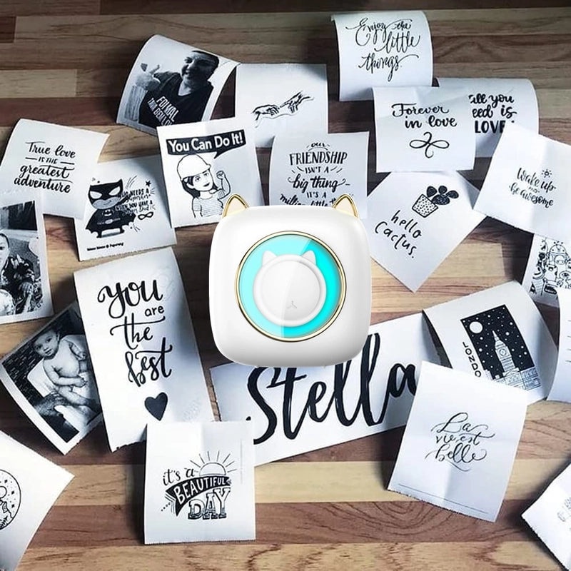 Minimalist Cat School Learning Toy Plastic Model | Educational Toys