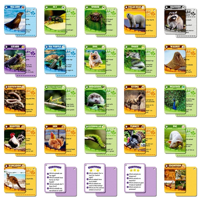 50 Realistic Animal Flash Cards for Kids|Early Childhood Education