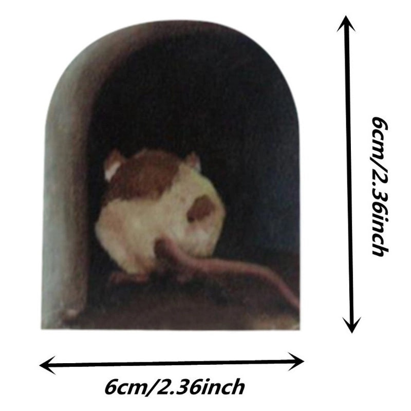 Adorable Animal PVC Glass Wall Decal | Home Decor