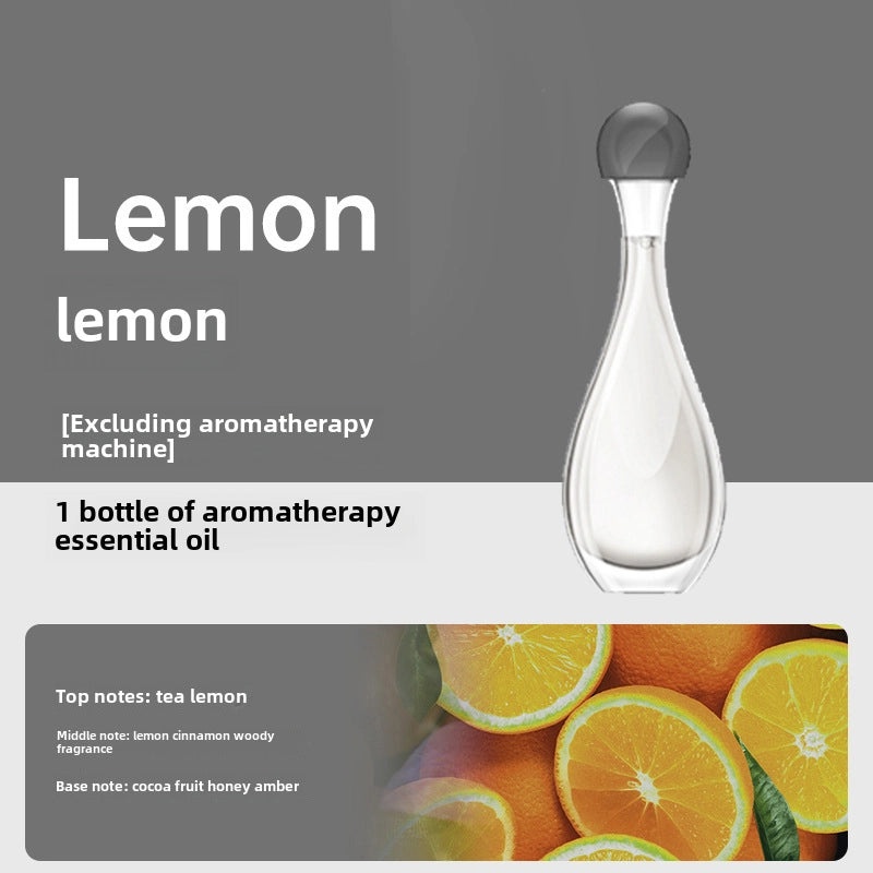 Automatic Aromatherapy Diffuser for Home and Hotel | Air Fresheners & Diffusers