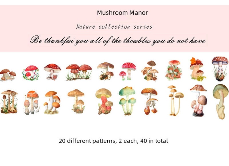 Natural Photo Collection Secret Window Pet Handbook Sticker Set 12 Styles Creative Plant DIY Decoration|Stationery & Craft Supplies