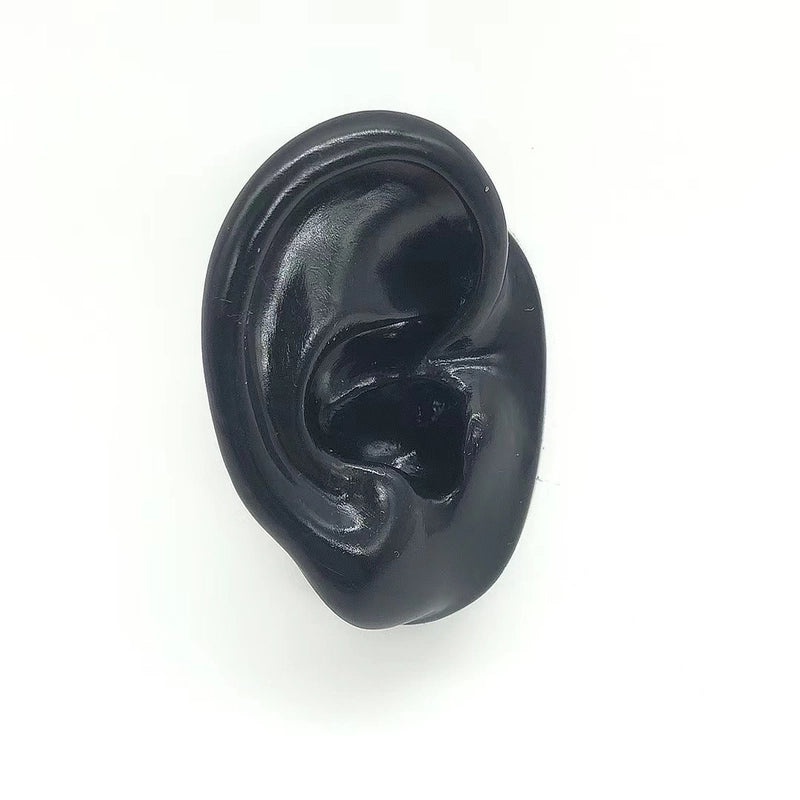 Soft Silicone Human Ear Model for Ear Cleaning Training and Medical Display|Medical Supplies