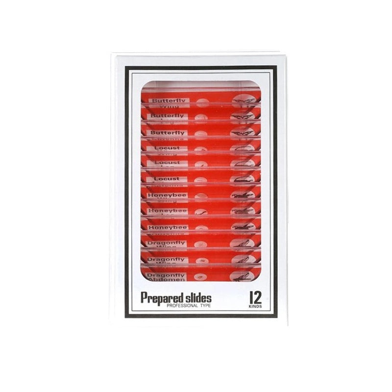 Educational Alphabet Plastic Toys for Kids|Learning & Educational Toys