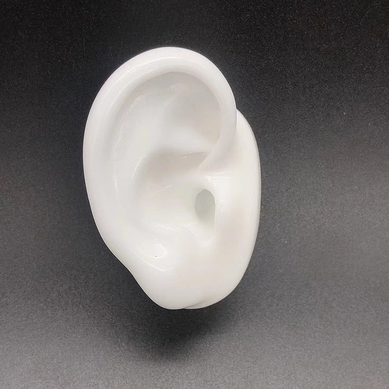 Soft Silicone Human Ear Model for Ear Cleaning Training and Medical Display|Medical Supplies