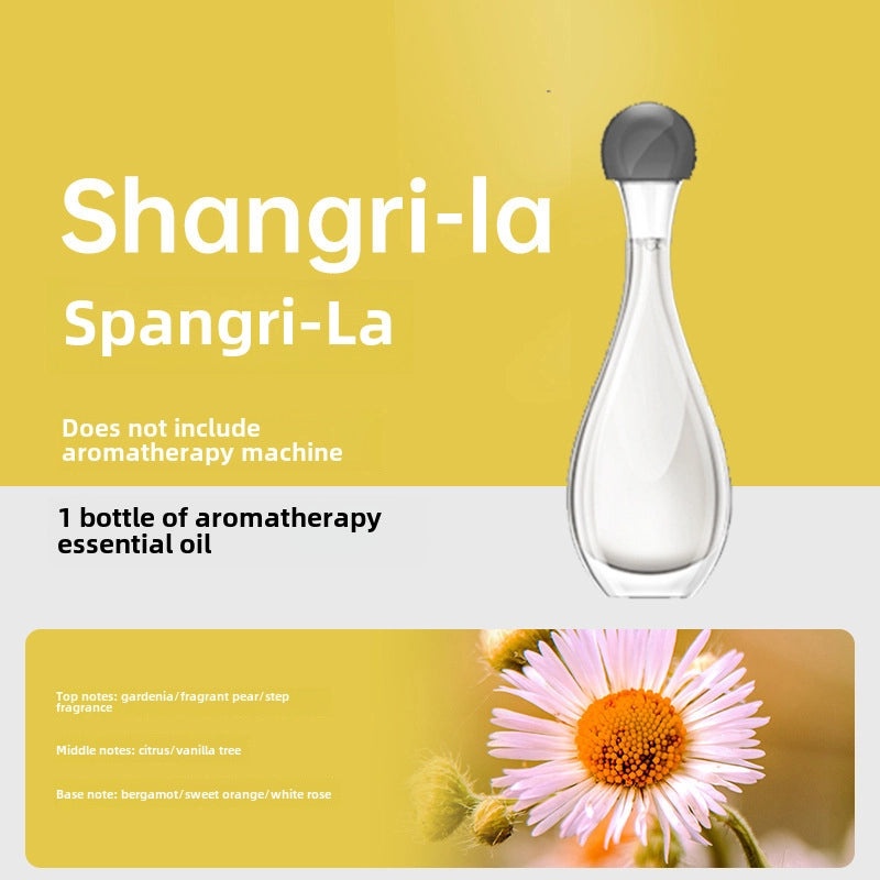 Automatic Aromatherapy Diffuser for Home and Hotel | Air Fresheners & Diffusers