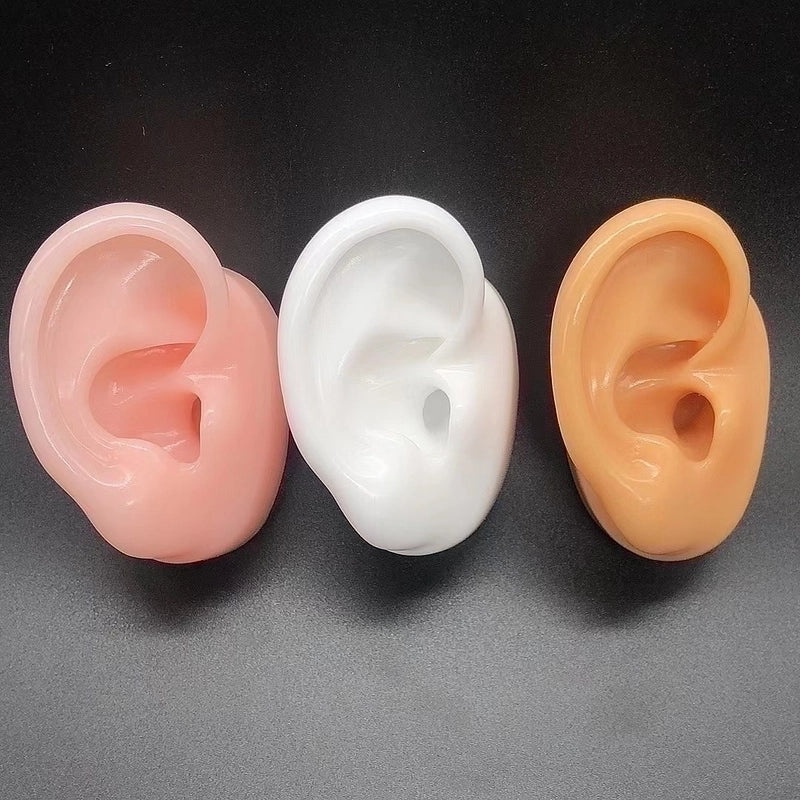 Soft Silicone Human Ear Model for Ear Cleaning Training and Medical Display|Medical Supplies