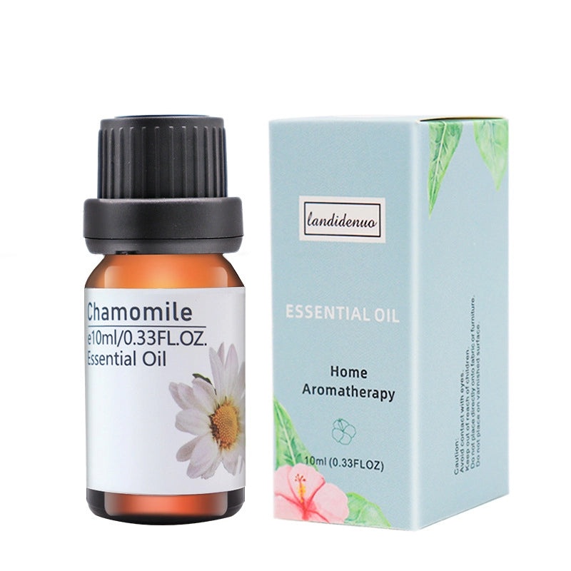 Colorful Casual Plastic Jewelry Organizer|Jewelry Storage & Display