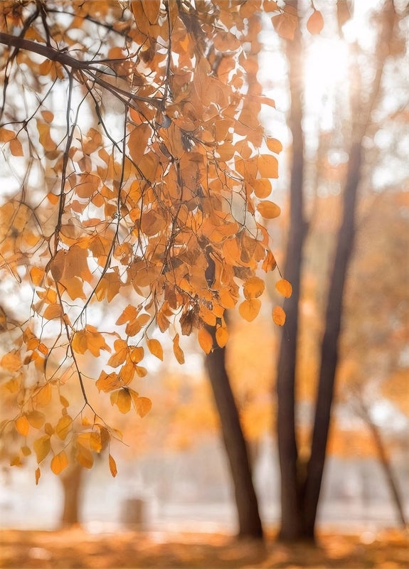 Rustic Landscape Canvas Wall Art|Home Decor