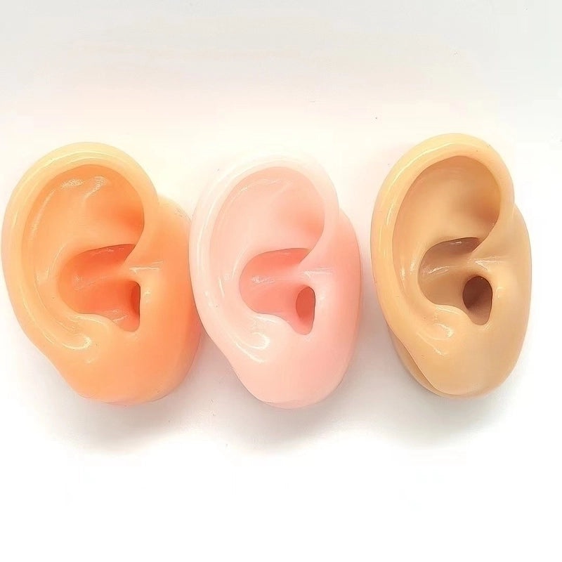 Soft Silicone Human Ear Model for Ear Cleaning Training and Medical Display|Medical Supplies
