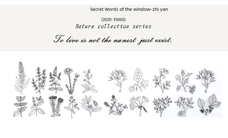 Natural Photo Collection Secret Window Pet Handbook Sticker Set 12 Styles Creative Plant DIY Decoration|Stationery & Craft Supplies