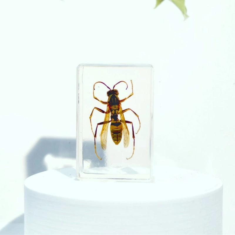 Halloween Resin Decorations with Ants, Spiders, and Butterflies|Seasonal Holiday Decor
