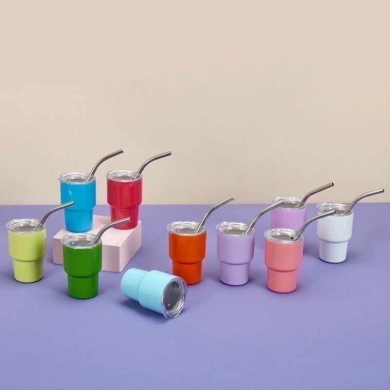 Chic Elegant Solid Color Stainless Steel Water Bottle Single Piece|Home & Kitchen