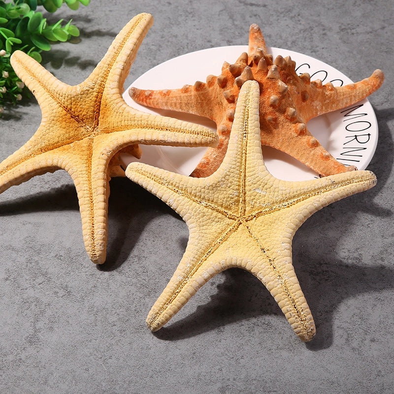 Minimalist Beach Starfish Shell Craft Supplies for DIY Decorations|Home Decor Materials