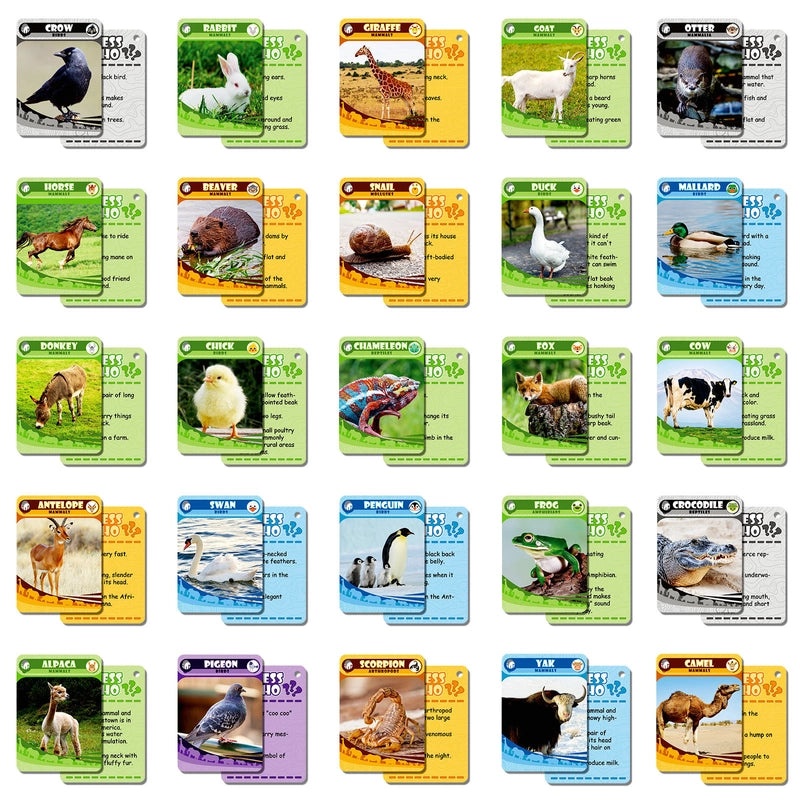 50 Realistic Animal Flash Cards for Kids|Early Childhood Education