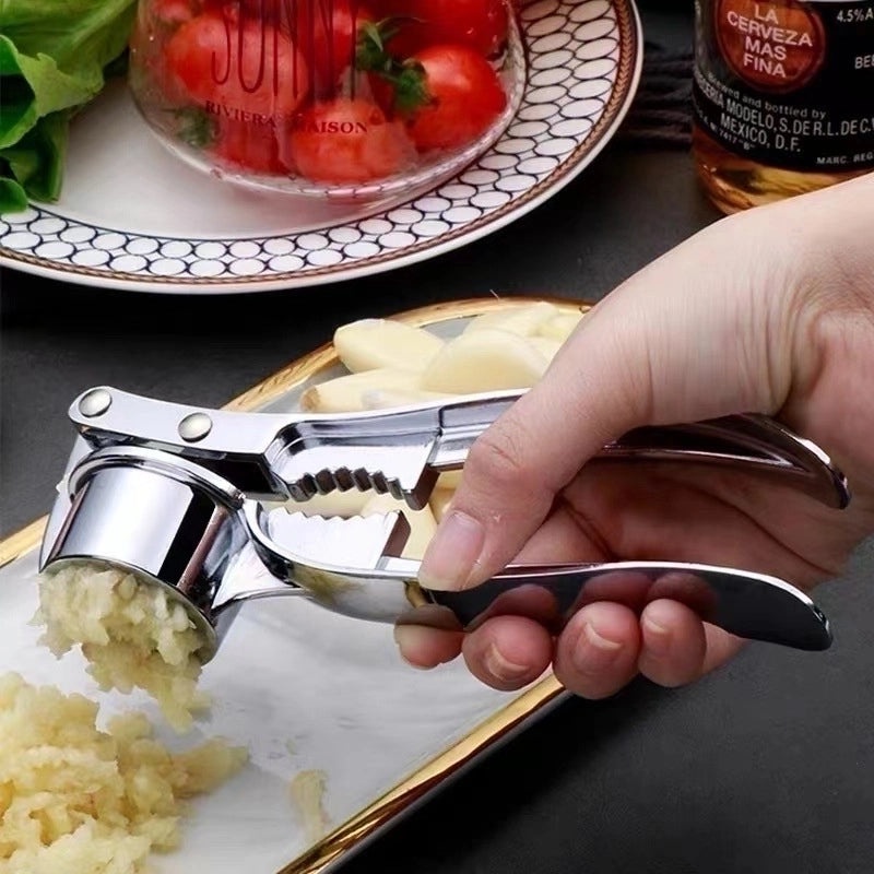 Sleek Stainless Steel Garlic Press Single Piece|Kitchen Tools & Gadgets