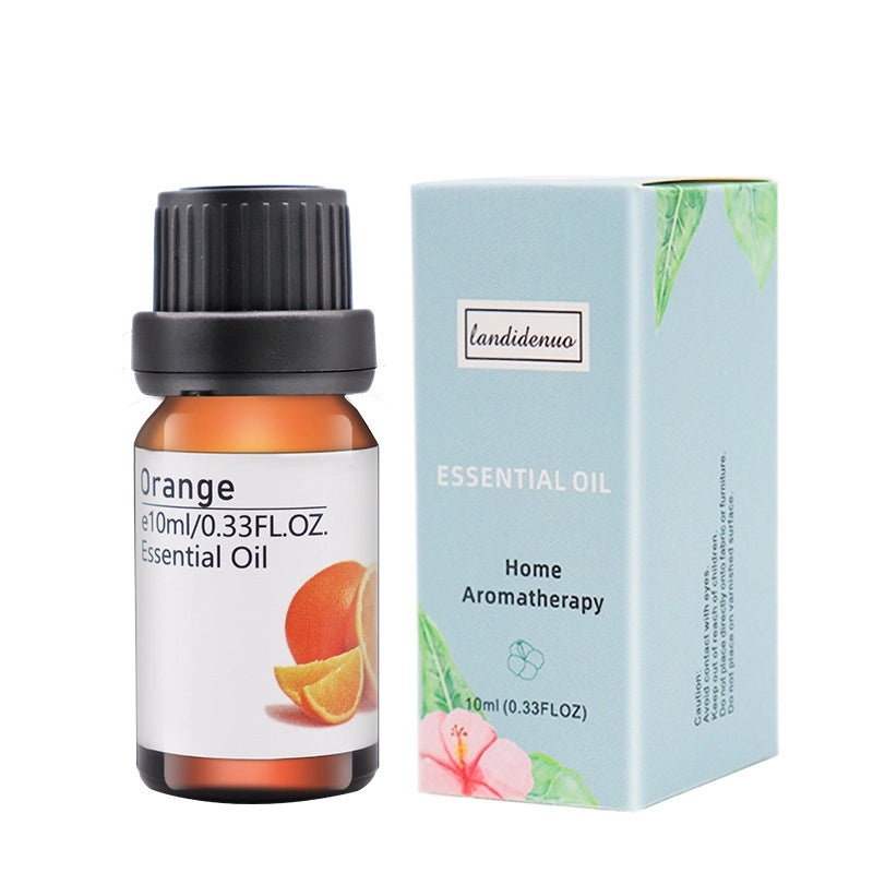 Colorful Casual Plastic Jewelry Organizer|Jewelry Storage & Display