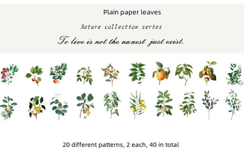 Natural Photo Collection Secret Window Pet Handbook Sticker Set 12 Styles Creative Plant DIY Decoration|Stationery & Craft Supplies