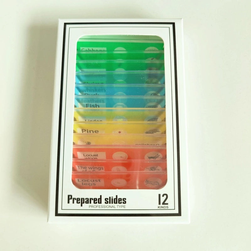 Educational Alphabet Plastic Toys for Kids|Learning & Educational Toys