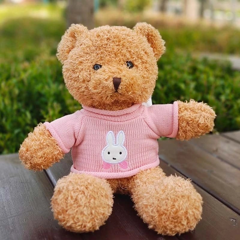Soft Plush Bear Stuffed Toys Filled with PP Cotton | Plush Toys & Stuffed Animals