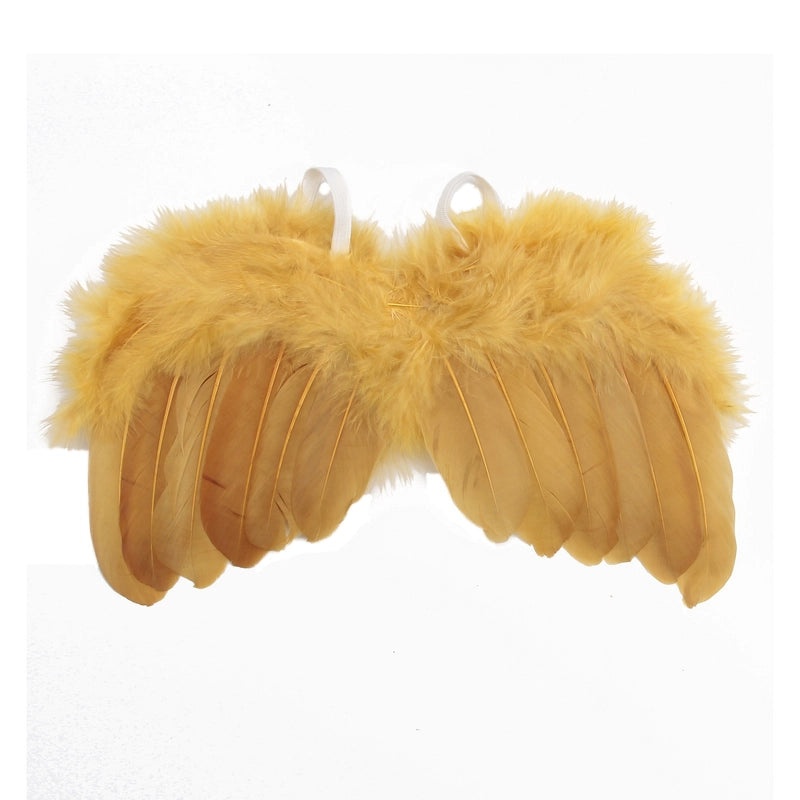 Feathered Wings Interactive Cat Toys|Pet Toys